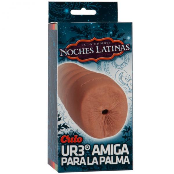 Noches Latinas Ur3 Palm Pal Ass