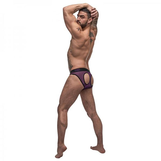 Male Power Airotic Mesh Butt Out Bikini Ppl Small